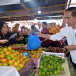 Presiden Jokowi Kunjungi Pasar Buah Kota Berastagi 
