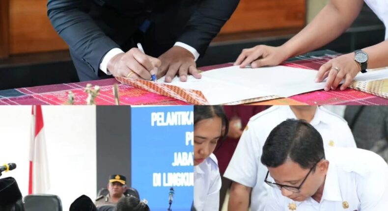 foto slider headline