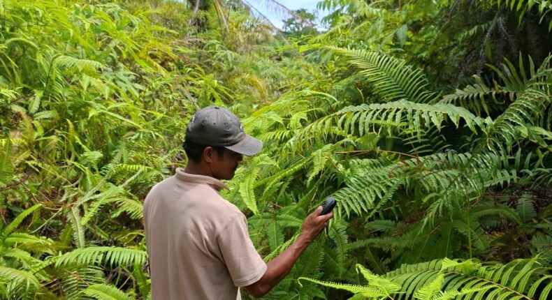 foto slider headline